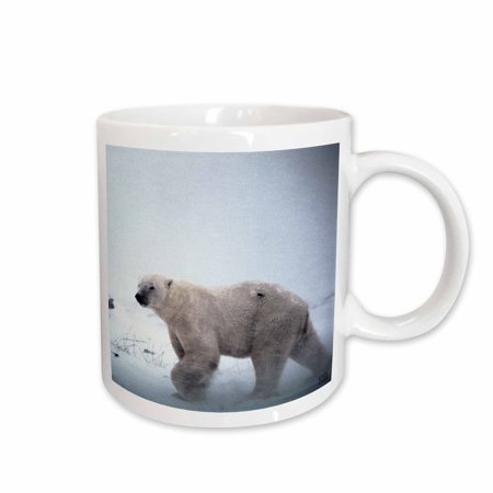 

3dRose Polar Bear Ceramic Mug 15-ounce