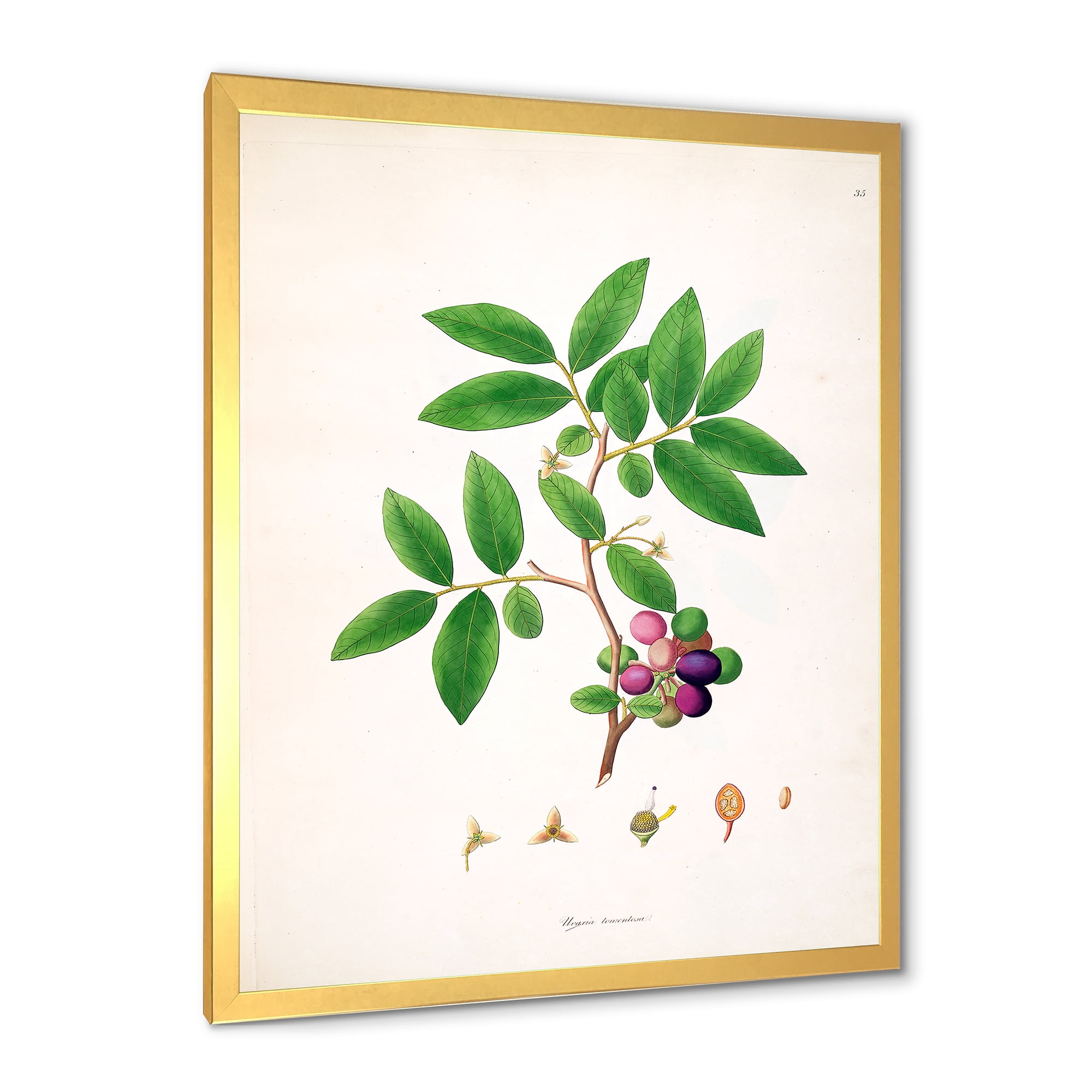 Designart 'Ancient London Plants XI' Farmhouse Framed Art Print
