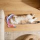 thumbnail image 4 of Almohada para el cuello de mascotas en forma de U, funda de tela desmontable, almohadilla ergonómica relajante para dormir, para gatos y perros pequeños y medianos, descanso para mascotas, 4 of 5