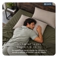 thumbnail image 2 of Fundas de Almohada King Size Esquimal Lyocell 2 Piezas Color Khaki, 2 of 8