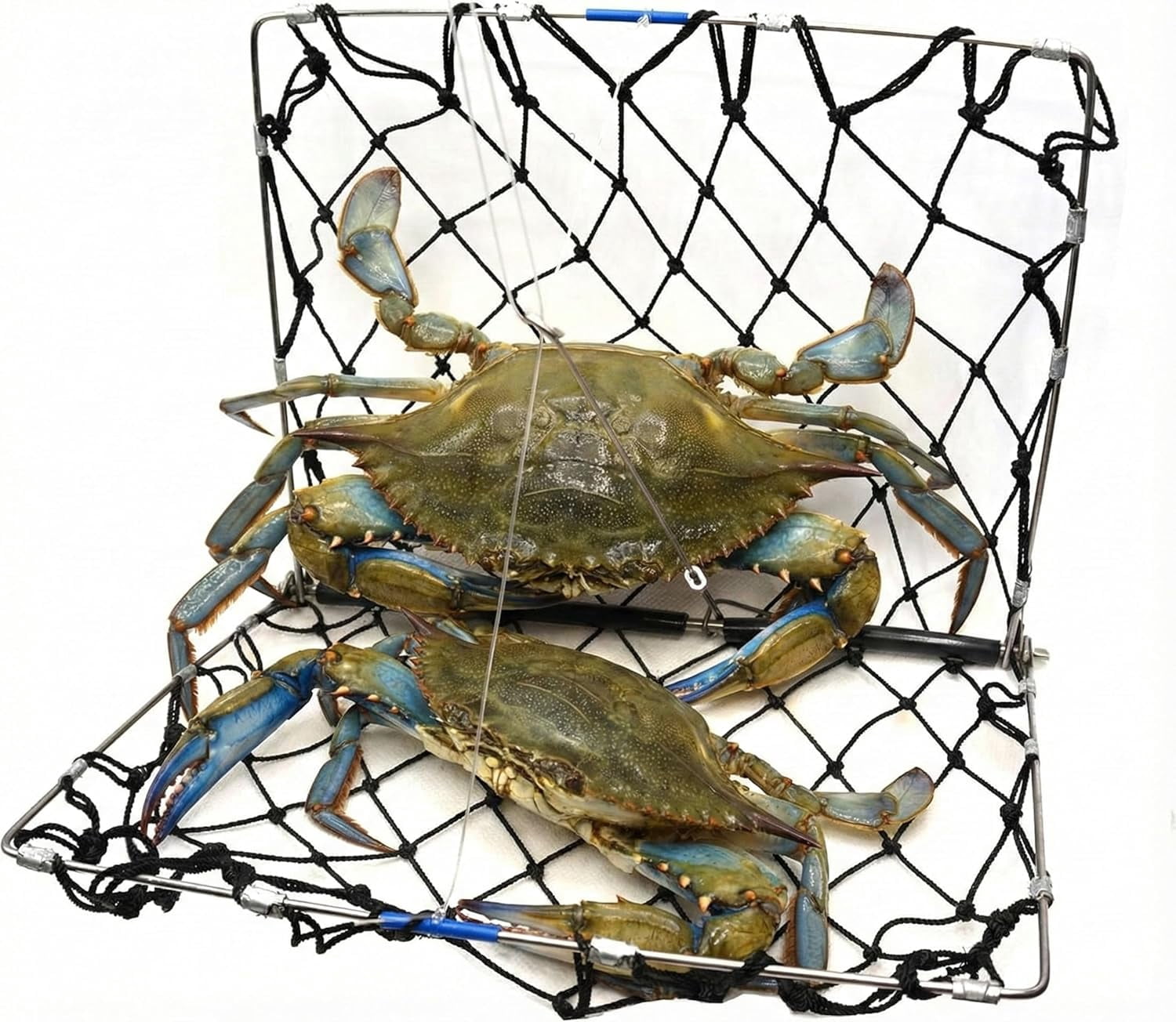 AirFly Foldable Crabjaw Trap with Bait Clip - Redesigned Rectangle Castable Crab Trap Hawk (Traps 3pcs)