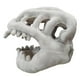 thumbnail image 3 of Máscara de esqueleto de dinosaurio para Halloween, accesorio para cosplay, máscara para adultos, sombrero, 3 of 5