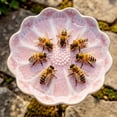 thumbnail image 4 of Glazed Ceramic Pollinator Waterer with Stake, Floral Insect Bird Feeder Bath, Sturdy Garden Yard Ornament for Hummingbirds Butterflies, Outdoor Patio Backyard Pollinator Station, 4 of 6