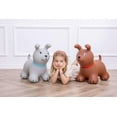thumbnail image 4 of My First Jumpy Chien, Gris, 4 of 4