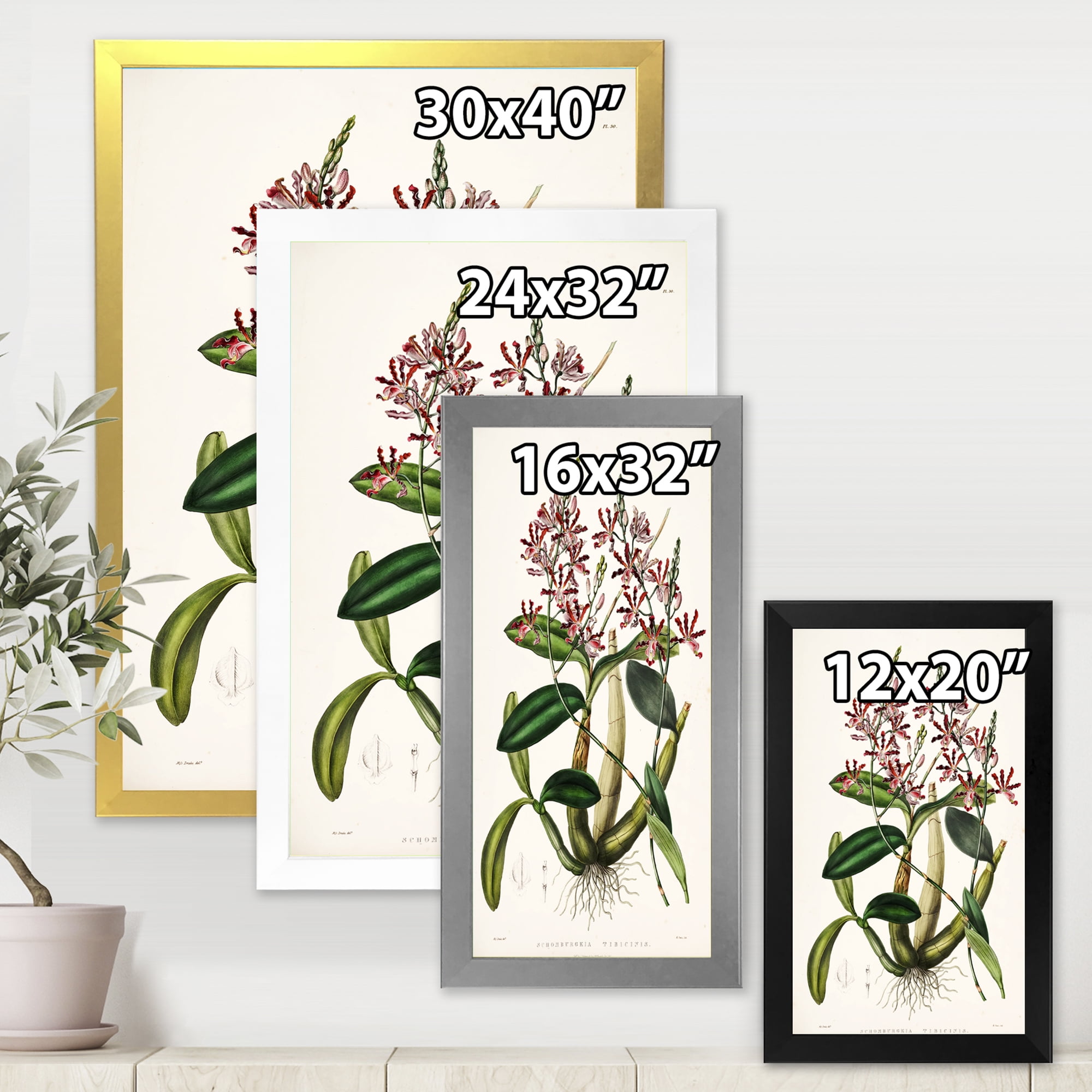 Designart 'Ancient Plant Life VII' Traditional Framed Art Print