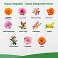 thumbnail image 4 of Organo Republic 23 Wildflower Seeds Annual & Perennial Mix for Indoor & Outdoors, Attract Birds & Butterflies 100,000+ Non-GMO, Heirloom Garden Seeds, 4oz Packet for Growing Wild Flowers, 4 of 7