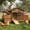 Brown, variant on Gaildon Double-Egg-Box Chicken Coop for 2-4 Chickens, Weatherproof Chicken House Poultry Cage with Nesting Box for Outdoor Backyard, Brown