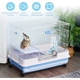 thumbnail image 5 of Hervidor de agua holandés para conejos y cerdos, hervidor de agua para Chinchilla de 500ml, dispensador automático de agua, bebedero para gatitos Rojo Verde, 5 of 5