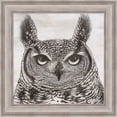 thumbnail image 1 of Great Art Now Portrait of an Owl by Marie-Elaine Cusson, Framed Wall Art, 20W x 20H, 1 of 3