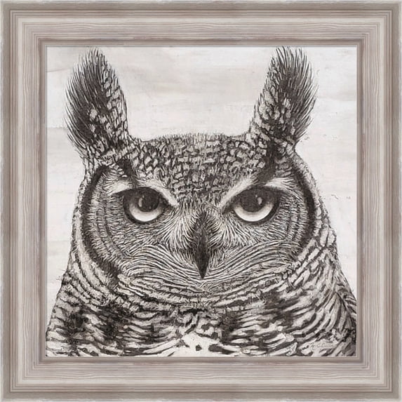 Great Art Now Portrait of an Owl by Marie-Elaine Cusson, Framed Wall Art, 20W x 20H