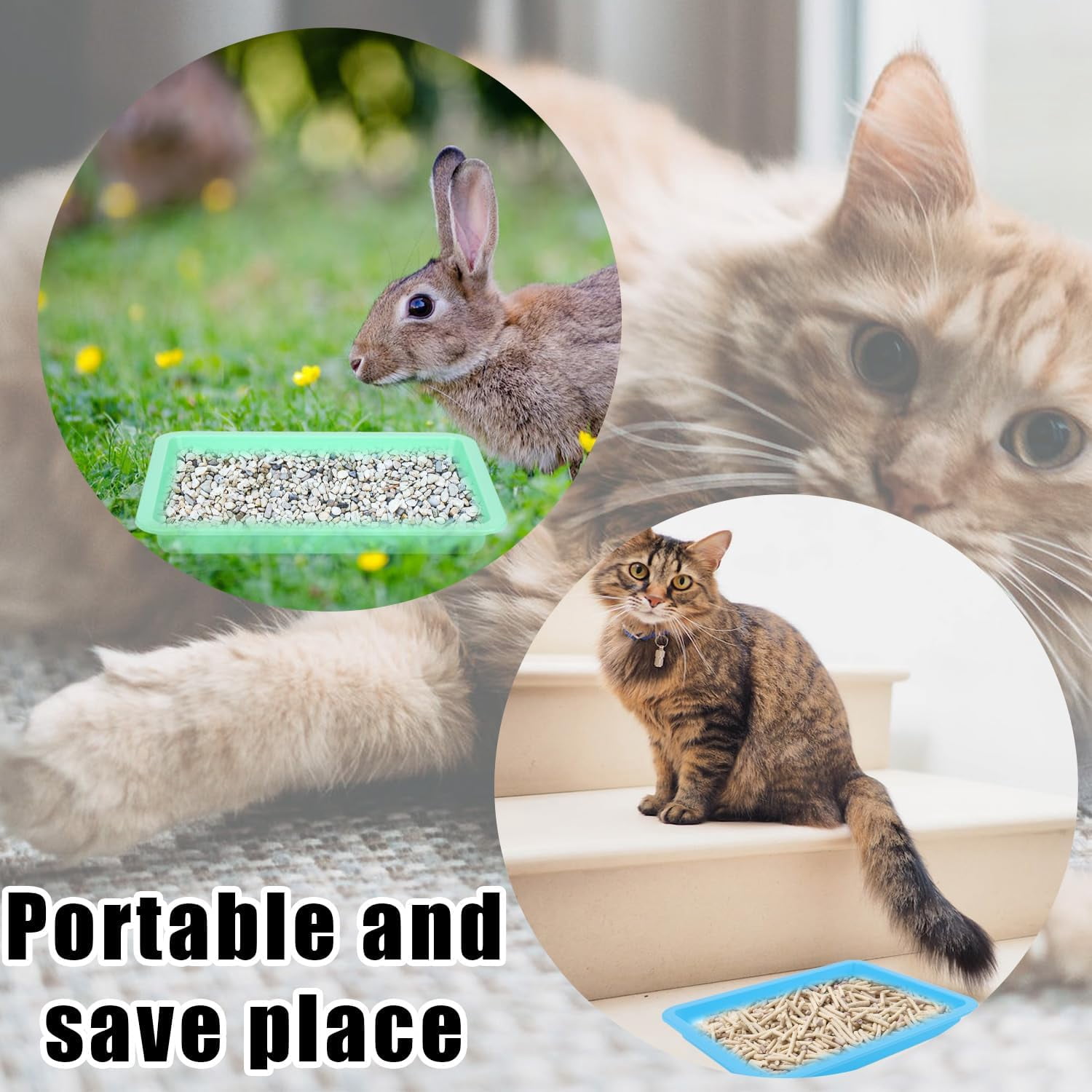 5pcs Shallow Cat Litter Boxes - Plastic Cat Litter Trays & Pans for Indoor Kittens (5 Colors)