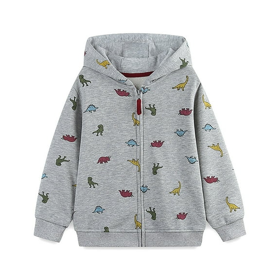 Byoo Cute Dinosaur Print Hoodie Sweatshirts for Toddler Boys Zip Up Long Sleeve Hooded Pockets Graphic Jacket Soft Comfy Sweatshirt
