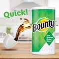 thumbnail image 3 of Bounty® TOWEL,DBL RL,110SH,24RL 66539/5815, 3 of 6