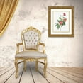 thumbnail image 3 of Redoute, Pierre Joseph 15x18 Gold Ornate Wood Framed with Double Matting Museum Art Print Titled - Alpine Rose, Common Alpine Rose Garden, Rosa Alpina vulgaris, 3 of 4