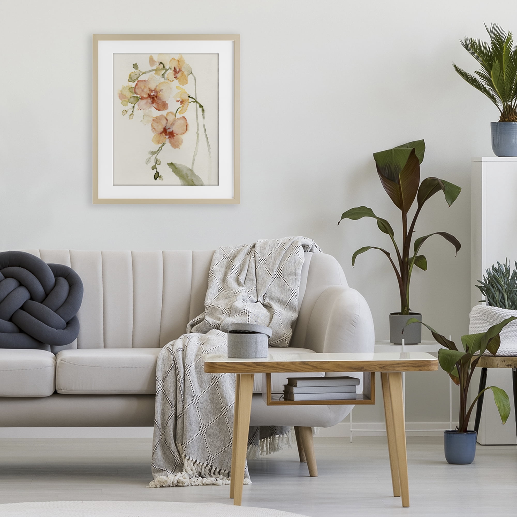 Stupell Industries Peach Orchid in Bloom Birch Framed Print Under Glass, design by Victoria Barnes