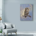 thumbnail image 3 of Trademark Fine Art 'Owl Over Background' Canvas Art by Michael Jackson, 3 of 3