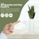 thumbnail image 5 of Planta de serpiente falsa planta artificial de serpiente verde adorno de hojas verdes planta de serpiente decorativa, 5 of 6