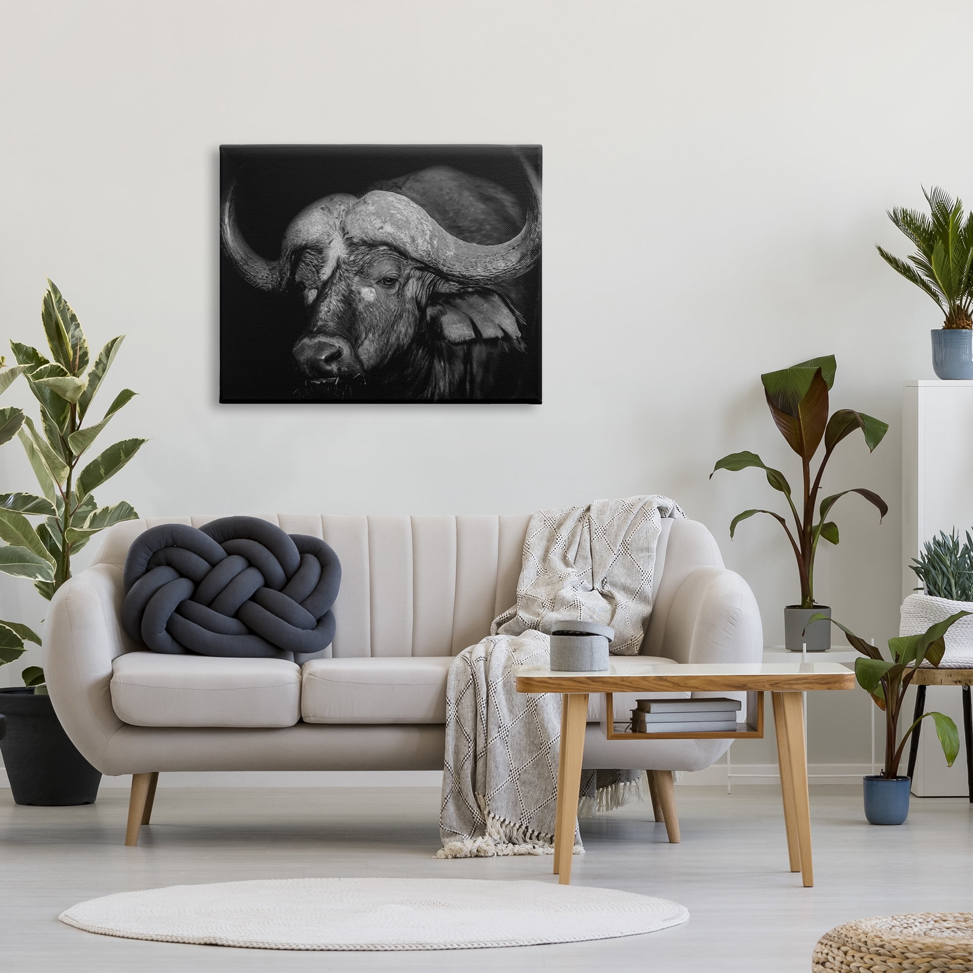 Stupell Industries Dark Buffalo Photography Animals & Insects Photography Gallery Wrapped Canvas Art Print Wall Art, 40 x 30