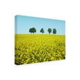 thumbnail image 2 of Ben Heine 'Brothers' Canvas Art, 2 of 3