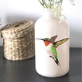 thumbnail image 4 of Rufous Hummingbird Set WIRESTER Decal Vinyl Wall Stickers Decoration for Boys Girls Kids Room Bedroom Home Office Living Room Wall Bathroom (12 x 6 inches), 4 of 8