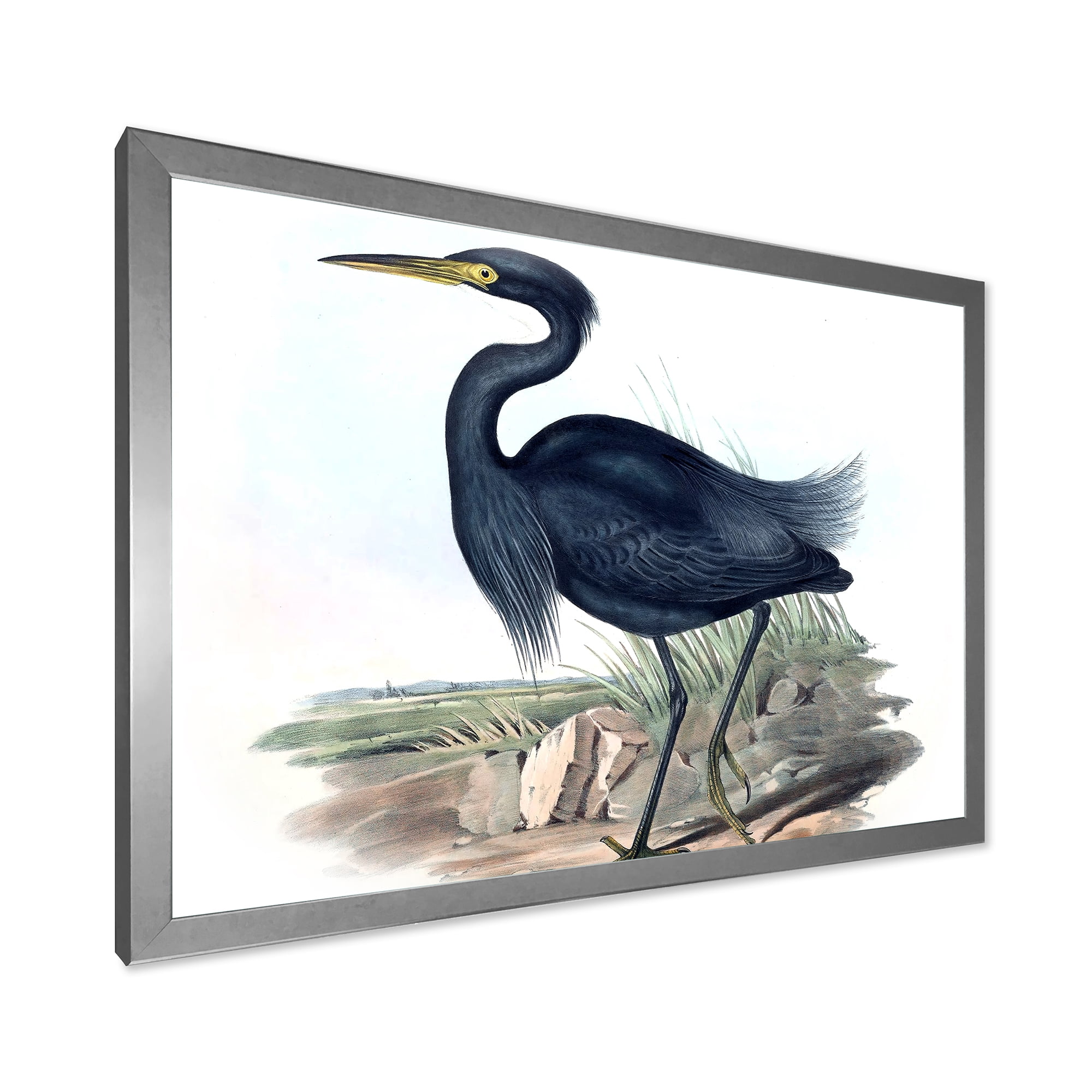 Designart 'Ancient Australian Birds III' Traditional Framed Art Print