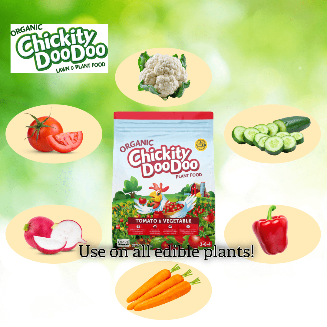 (2 pack) Chickity Doo Doo Tomato Vegetable Organic Fertilizer, 4 lbs, 360 Square feet