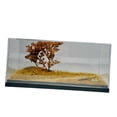 thumbnail image 4 of Vitrina de coche fundido a presión a escala 1/64, vitrina coleccionable a prueba de polvo, escena de otoño profundo, caja de exhibición transparente, 4 of 8