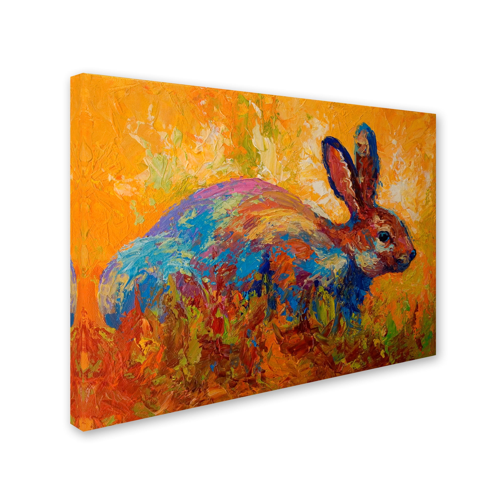 Trademark Fine Art 'Rabbit II' Canvas Art by Marion Rose