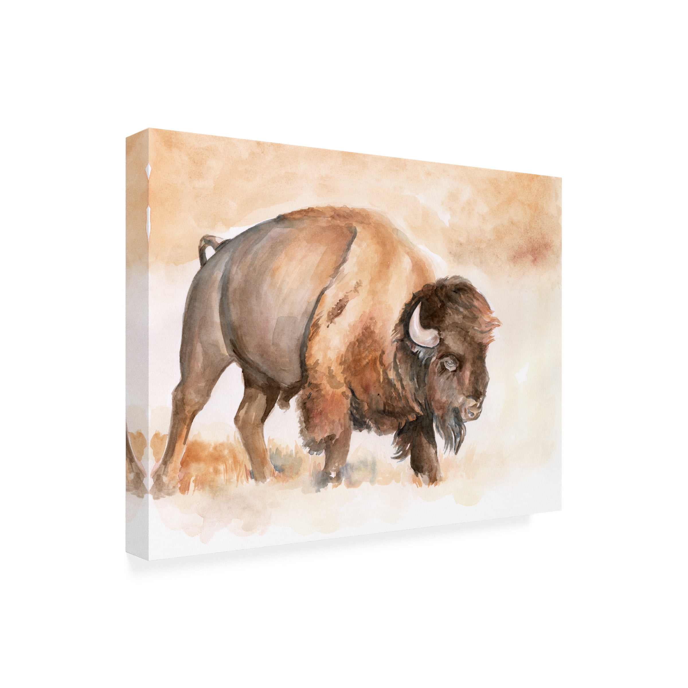 Jennifer Paxton Parker 'Buffalo Roam II' Canvas Art