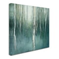 thumbnail image 2 of Trademark Fine Art 'Forest Dream' Canvas Art by Julia Purinton, 2 of 3