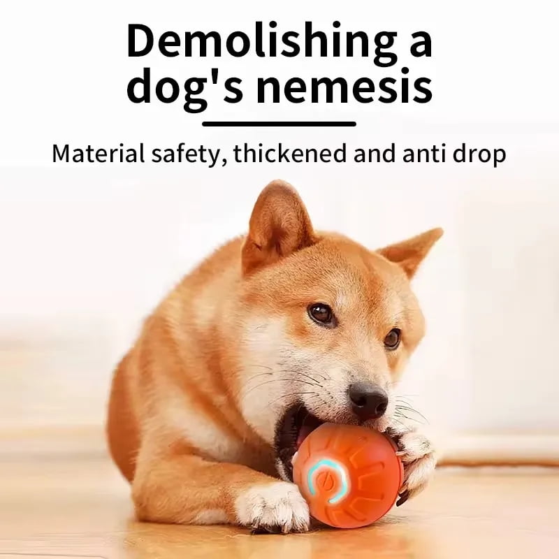 Dog toy moving ball online