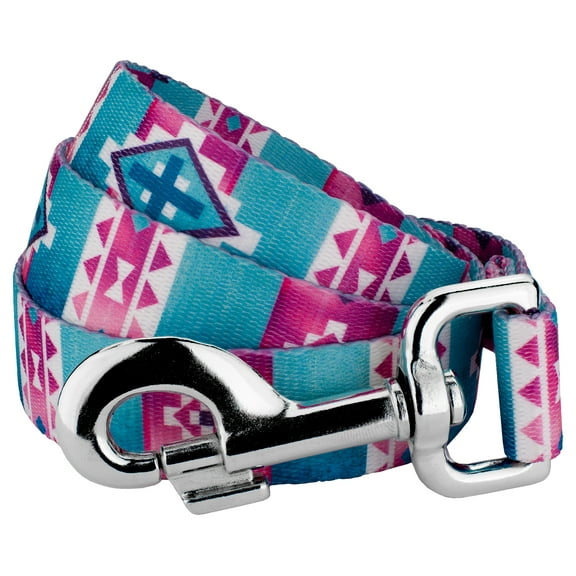 Country Brook Design - 5/8 inch Albuquerque Dog Leash - 6 Foot