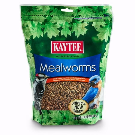 Pack of 2 Kaytee Mealworms, 17.6 oz - High-Protein Mealworm Treats - Perfect for Your Chickens, Wild Birds, Turtles,