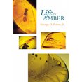 thumbnail image 1 of La Vie en Ambre, 1 of 1
