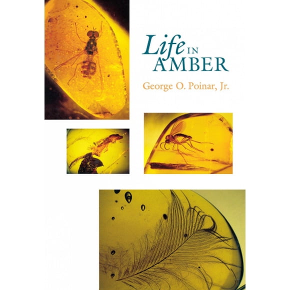 La Vie en Ambre