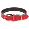 thumbnail image 1 of Aolove Basic Classic Padded Leather Pet Collars For Cats Puppy Small Medium Dogs, 1 of 5