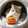 thumbnail image 4 of Halloween Squeaky Dog Toys, Funny Pumpkin Shape Interactive Chew Toys for Puppy Small and Medium Dogs, 4 of 5