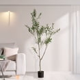 thumbnail image 2 of Árbol Artificial de Olivo, Planta Sintética para Decoración de Interiores (180CM), 2 of 5