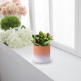 thumbnail image 4 of Gradual dark orange Nordic simple round ceramic small flower pot with tray, 4 of 5