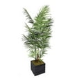 thumbnail image 2 of 82" Tall Areca Palm Tree Artificial Lifelike Faux in 14" Fiberstone Planter By Minx NY, 2 of 2