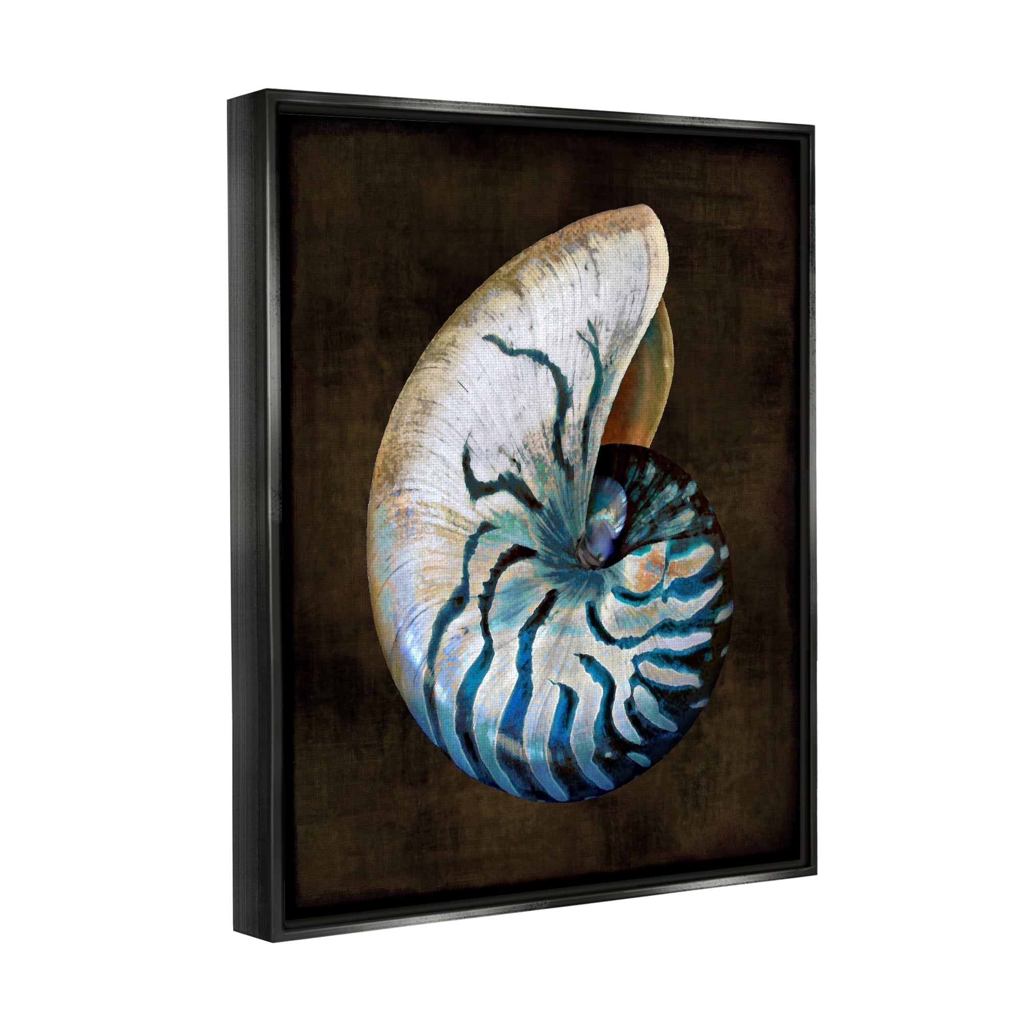 Stupell Industries Modern Marine Shell Nature Painting Black Floater Framed Art Print Wall Art, 25 x 31