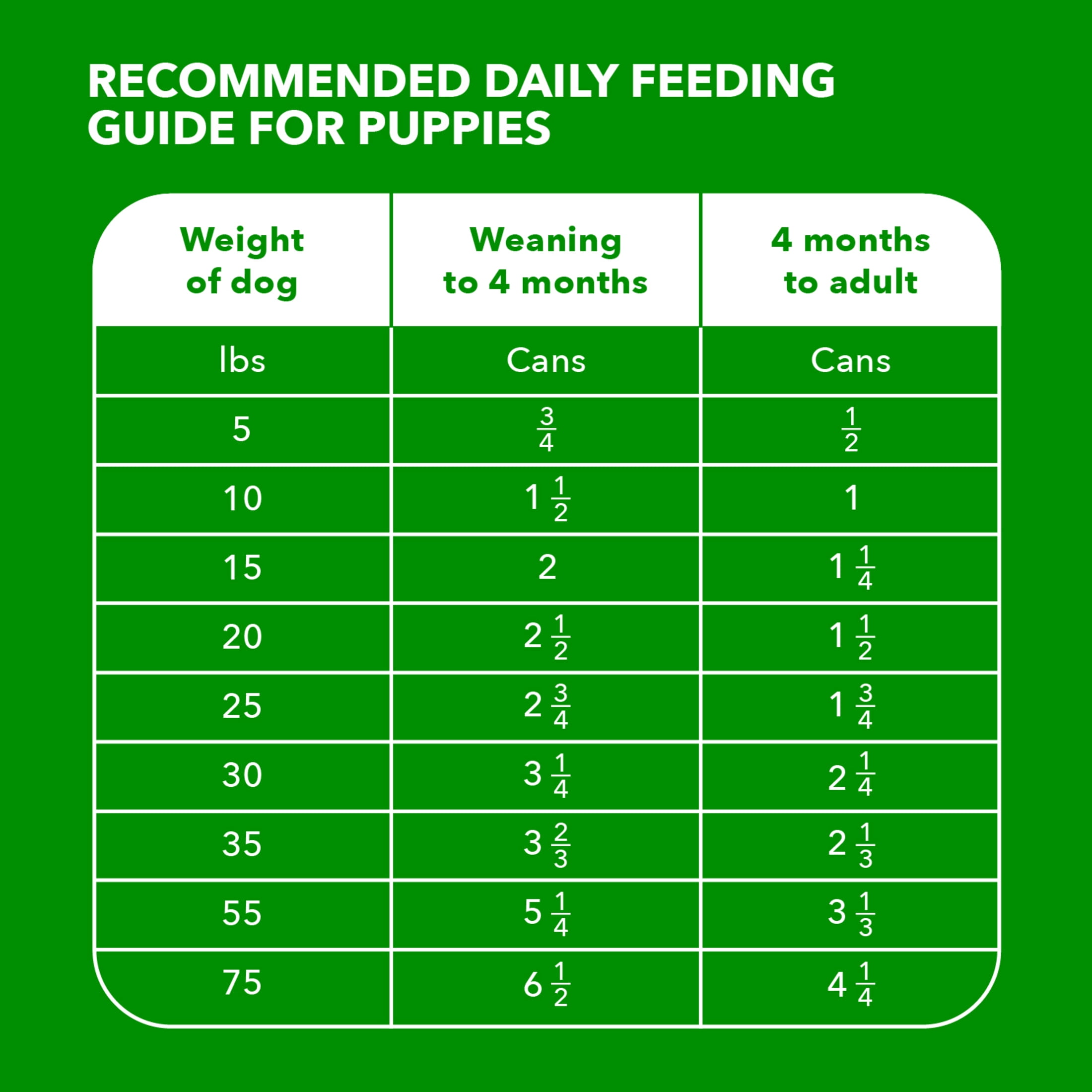 (12 pack) IAMs Proactive Health Puppy Wet Dog Food Classic Ground with Chicken and Rice, 13 oz. Can