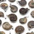 thumbnail image 5 of Handmade Charms 6Pcs Natural Ammonite Snail Shell Fossils Stone Pendants for Jewelry Accessories Making, 5 of 5