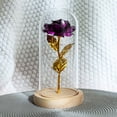 thumbnail image 4 of Eternal Rose Flower Rose Glass Dome Lámpara Led Decoración Para El Hogar Boda Navidad Día De San Valentín Methold HA027172-01, 4 of 5