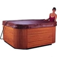 thumbnail image 3 of Luxury 58328-000-000 E-Z Lifter Cover Lift, 3 of 3