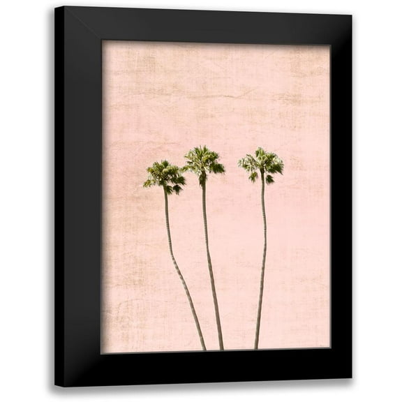 Carpentieri, Natalie 11x14 Black Modern Framed Museum Art Print Titled - Think Pink