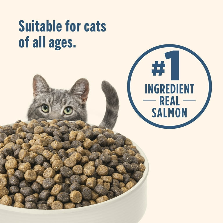Nutrish Dry Cat Food with Real Salmon Brown Rice lb, Supports