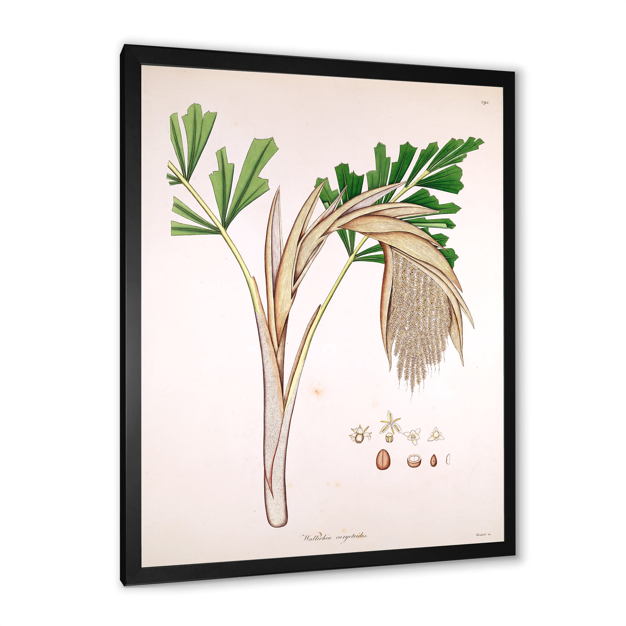 Designart 'Ancient Plant Life XV' Farmhouse Framed Art Print