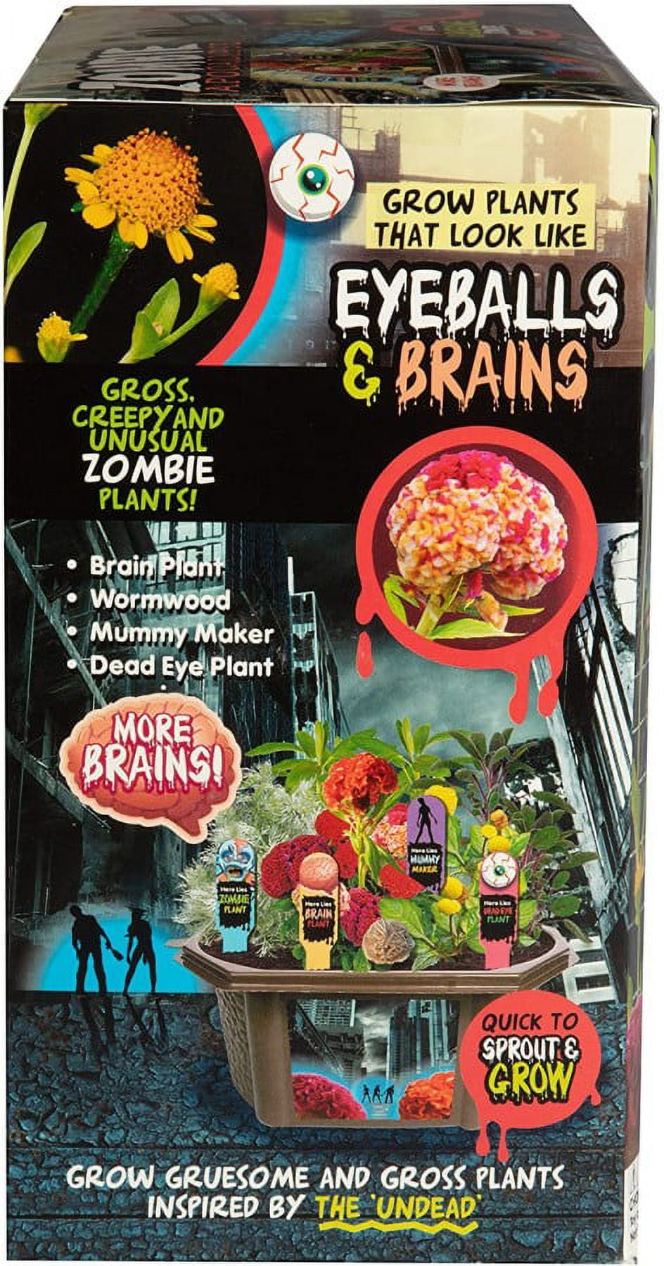  Zombie Plant Greenhouse Grow KIT- (Touch It and It Plays  Dead!) Unique Nature Kit- Grow a Fun House Plant That Plays Dead When You  Touch It! Comes Back to Life