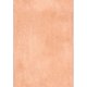 thumbnail image 3 of Bottle Opener Thickened Stainless Steel Beer Bottle Opener for Bar Bartenders HouseholdRose Gold, 3 of 4